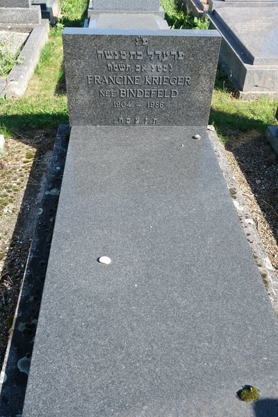 Grabstein von Krieger Francine