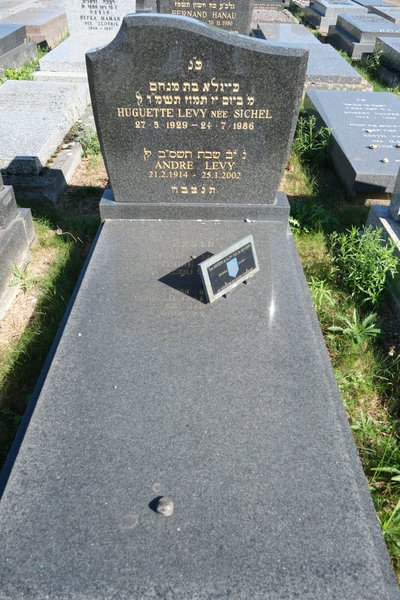 Grabstein von Levy André