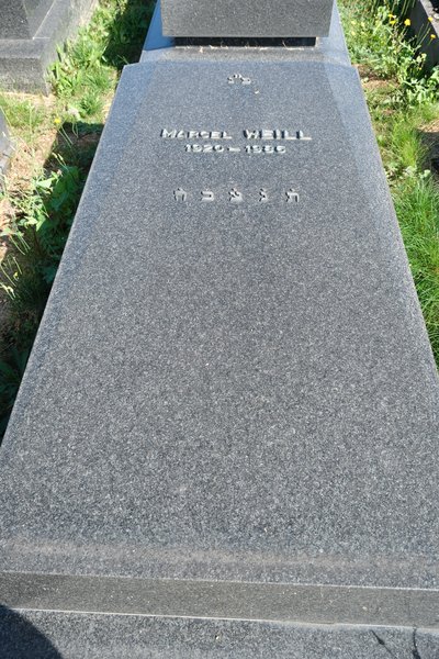 Estela de Weill Marcel