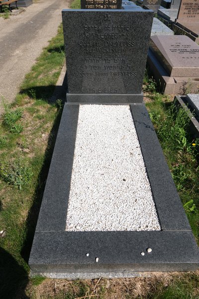 Grabstein von Dreyfuss Colette