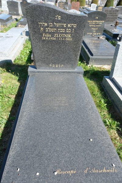 Grabstein von Zlotnik Félix