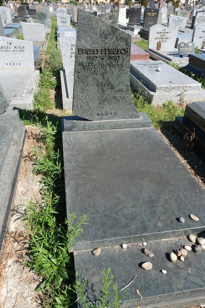 شاهدة قبر Benusch Ernest