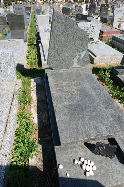 Tombstone of Fogelmann Sylvie