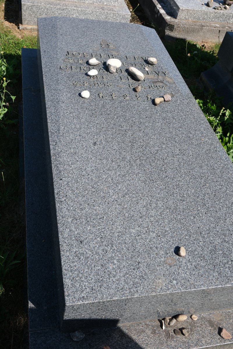 Grabstein von Levy Germaine