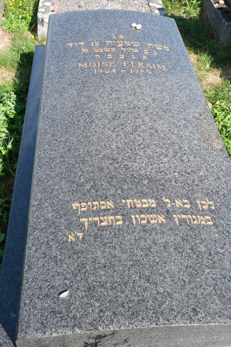 Grabstein von Elkaim Moïse
