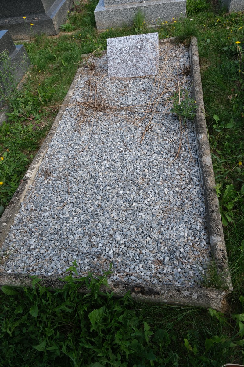 Grabstein von Weill Alice