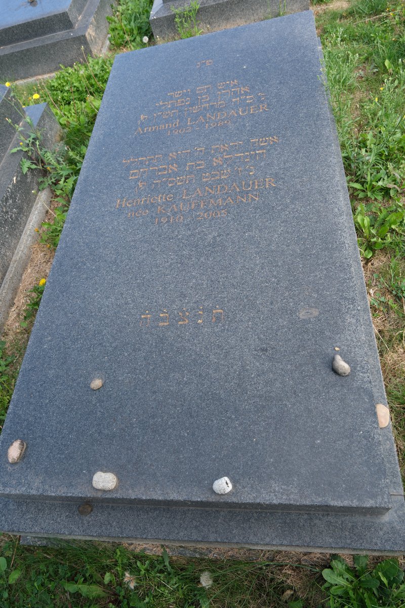 Lápide de Landauer Armand