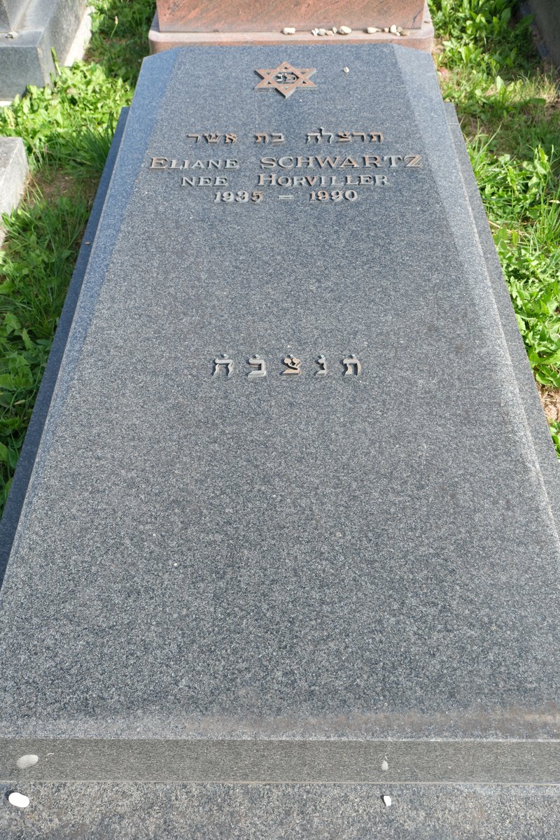 מַצֵּבה פון Schwartz Eliane