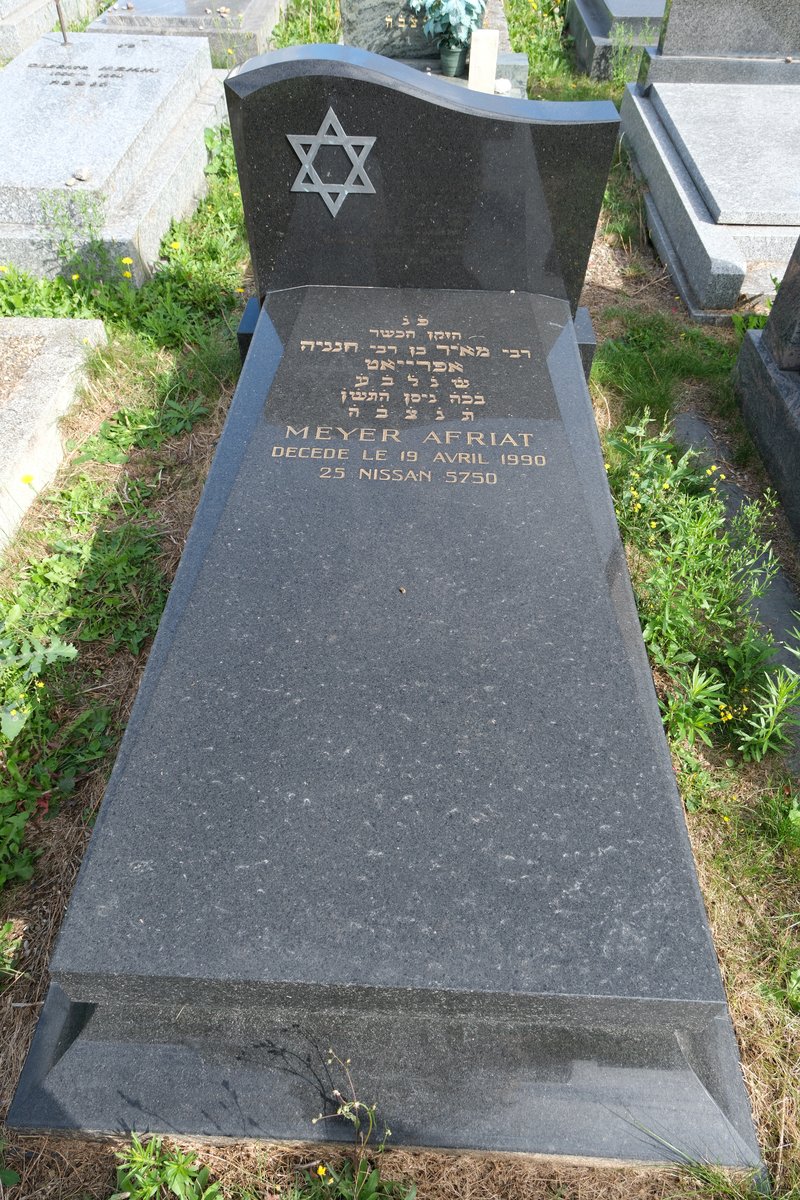 Estela de Afriat Meir