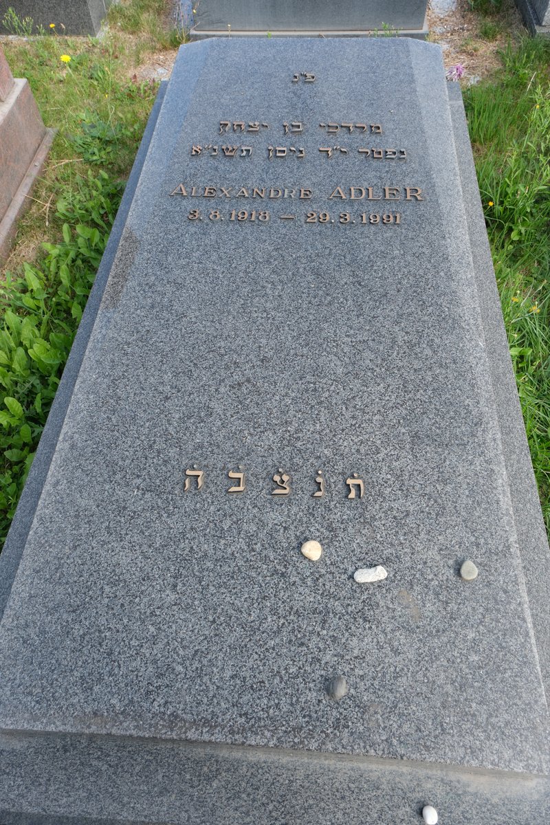מצבת Adler Alexandre
