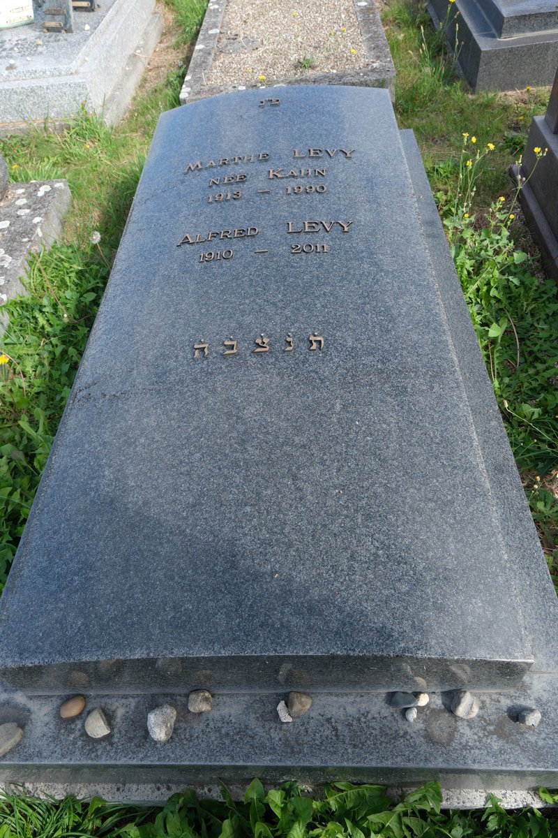 Stèle de Levy Alfred