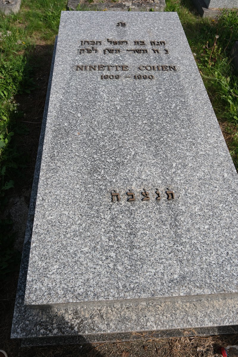 Grabstein von Cohen Ninette