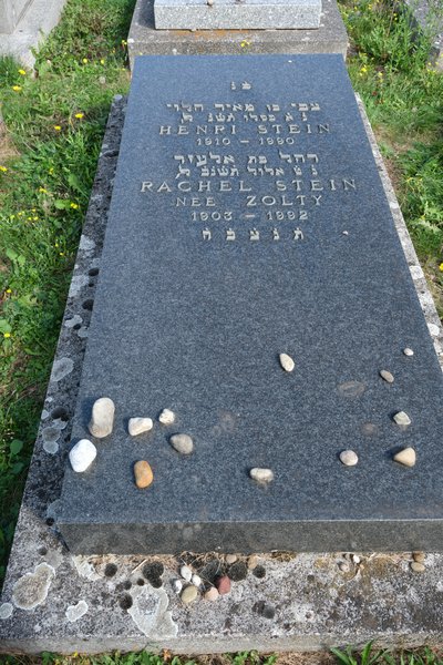 Estela de Stein Rachel