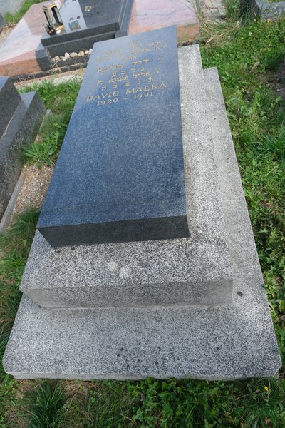 Lápide de Malka David