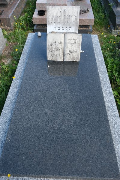 Stèle de Levy Albert