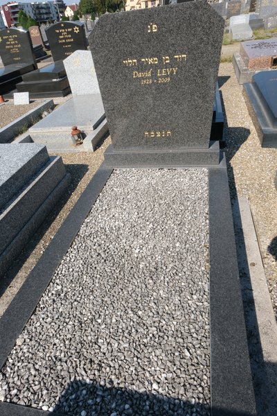 Levy David fejfája