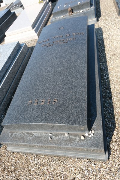 شاهدة قبر Lehmann Jean