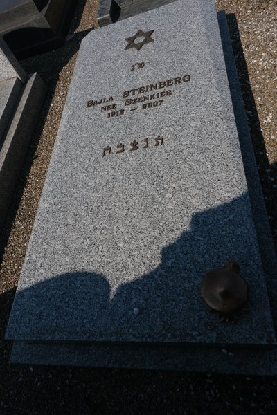 Lápide de Steinberg Bajla