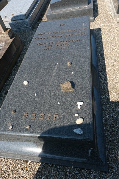 מצבת Salomon Ginette