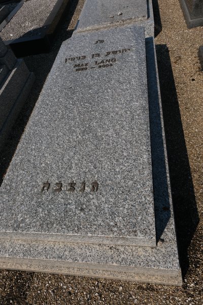 Estela de Lang Max