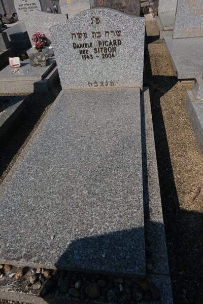 Grabstein von Picard Danièle