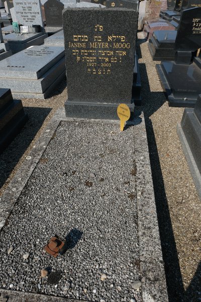 Grafsteen van Meyer Moog Jeannine
