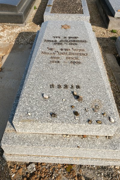 شاهدة قبر Goldberg Ignaz