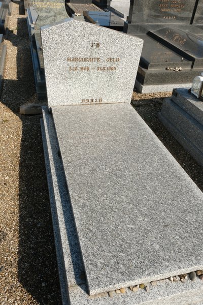 מַצֵּבה פון Gelb Marguerite