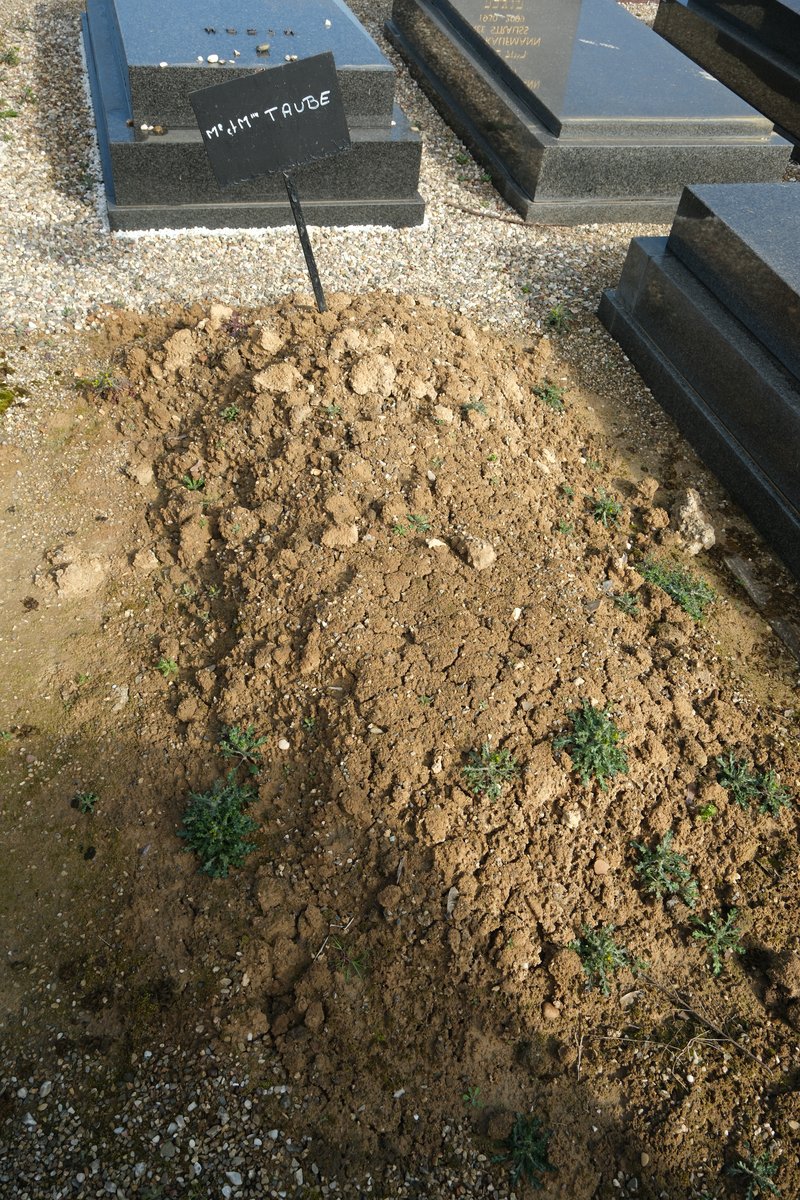 Stèle de Taube Peretz