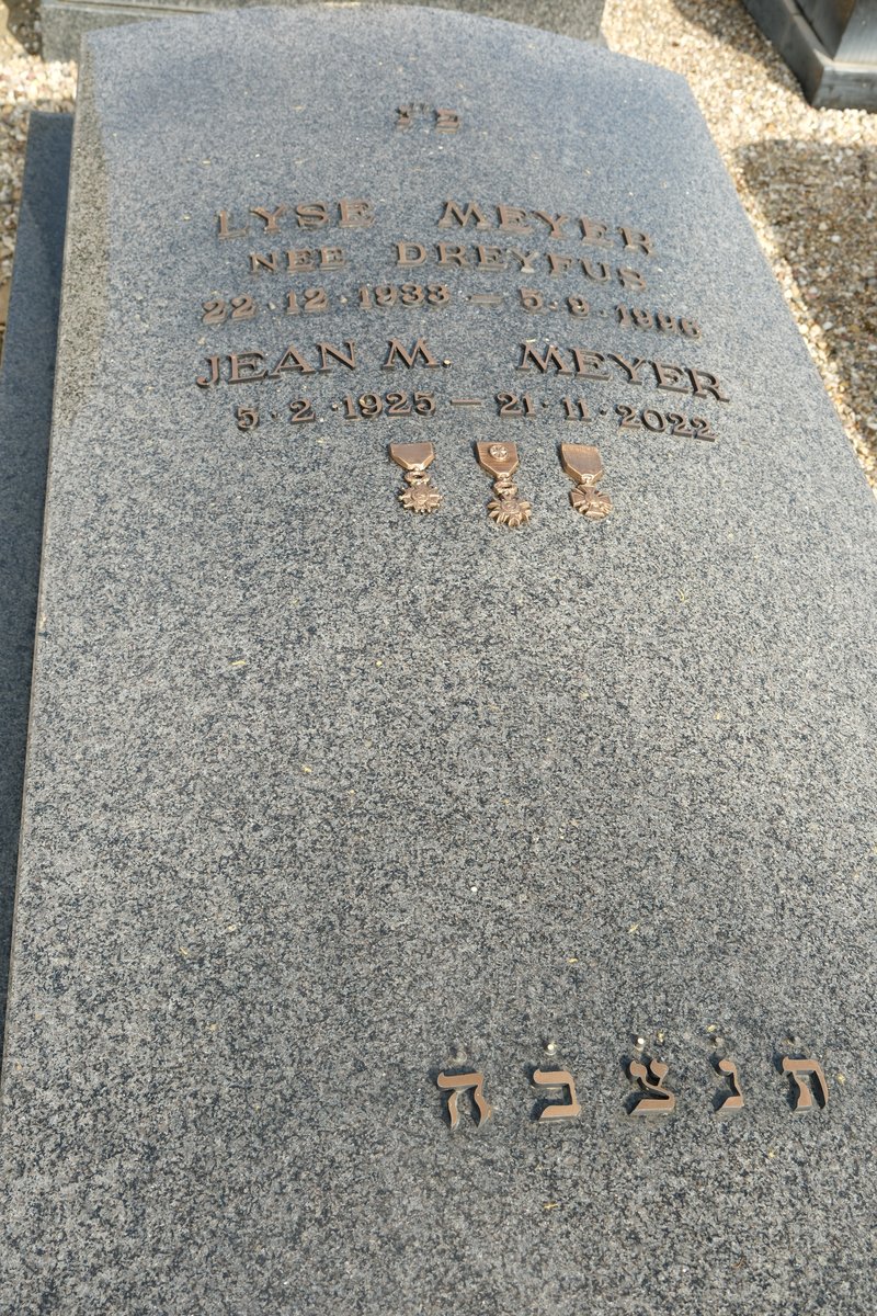 Meyer Jean fejfája