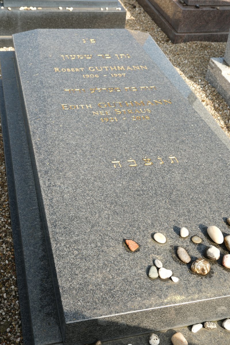 شاهدة قبر Guthmann Robert