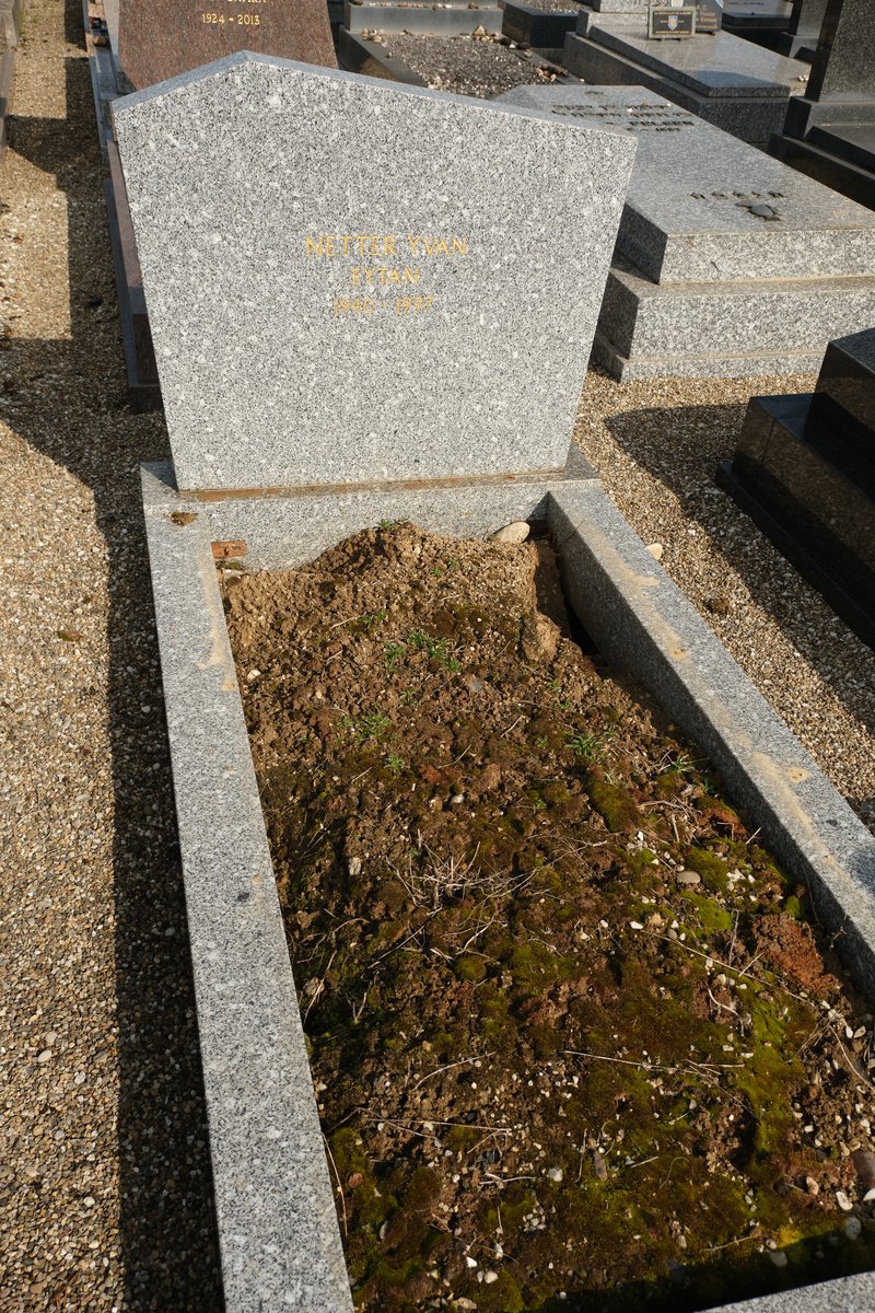 מצבת Netter Yvan