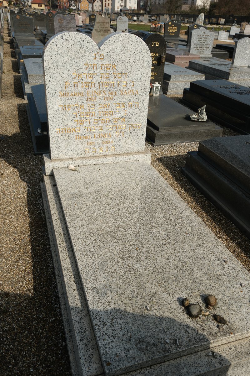 شاهدة قبر Ejnes Henri