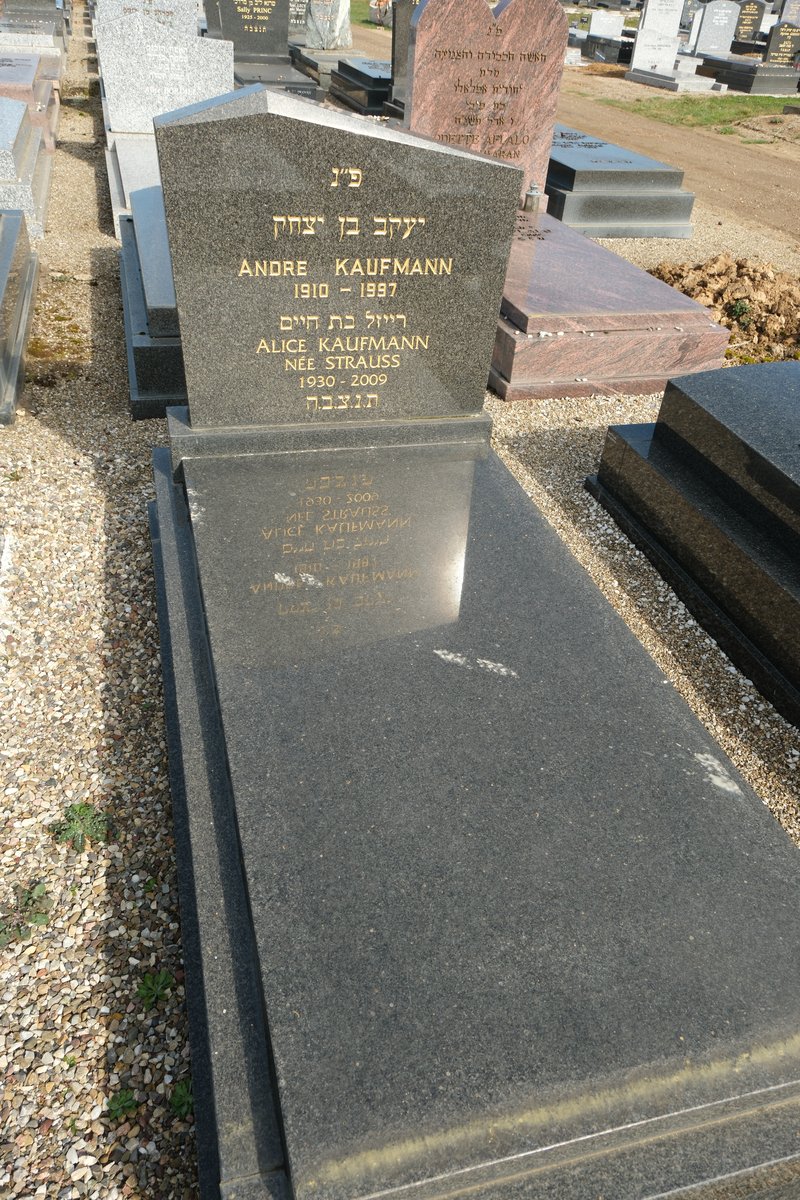 מַצֵּבה פון Kauffmann Alice