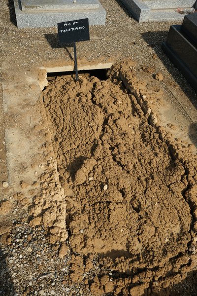 Tombstone of Toledano David