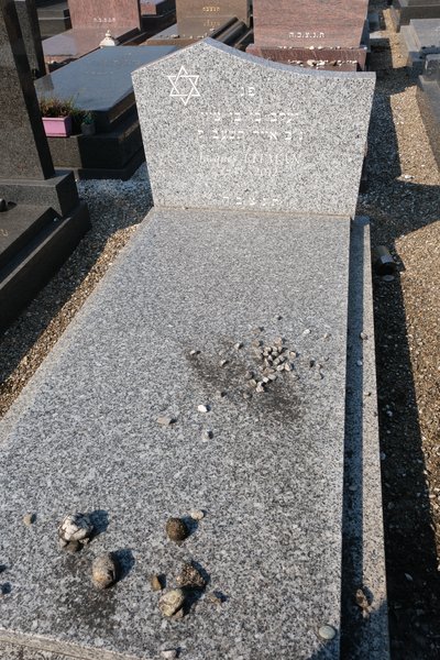 شاهدة قبر Litman Jacques