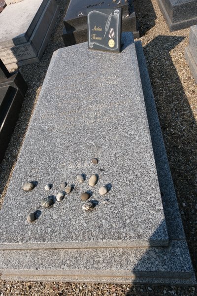 شاهدة قبر Zaidelson Rose Hélène