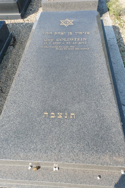 Estela de Goldstein Guy