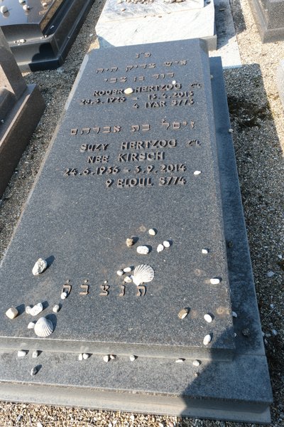 מצבת Hertzog Roger