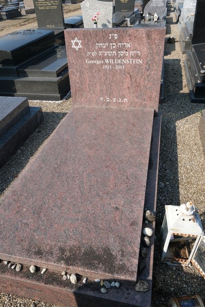 Grafsteen van Wildestein Georges