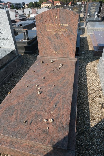Estela de Waksman Albert