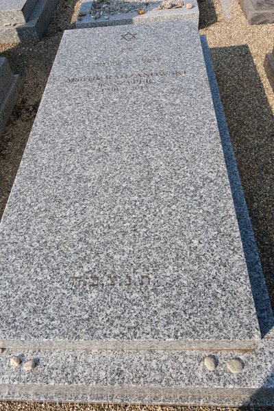 شاهدة قبر Radzanowski Marcelle