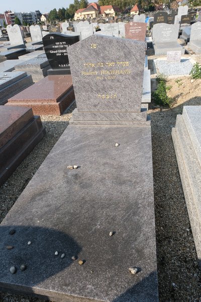 شاهدة قبر Hochmann Paulette