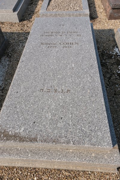 מַצֵּבה פון Cohen Simon