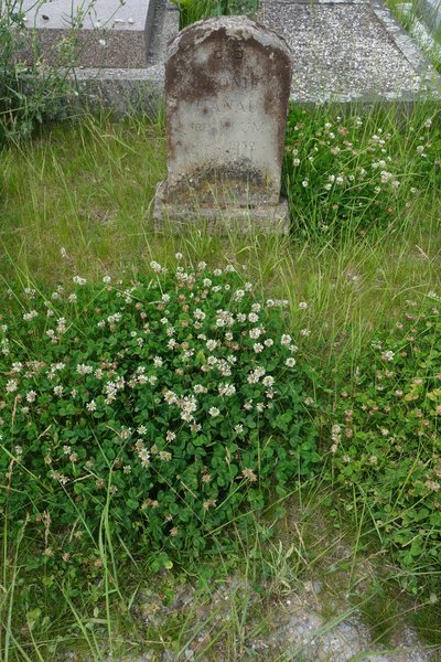 Estela de Hanau Léonie