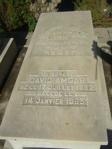 AMGAR David fejfája