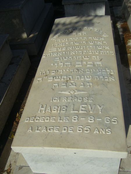 מַצֵּבה פון LEVY Habib