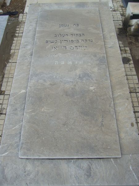 Grabstein von DAYAN Armand