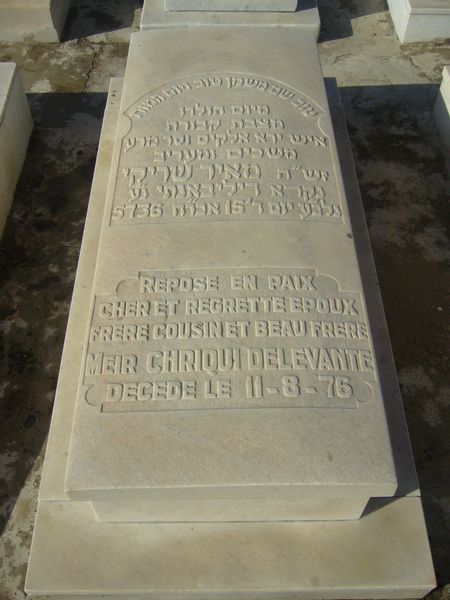 Grabstein von CHRIQUI DELEVANTE Meier