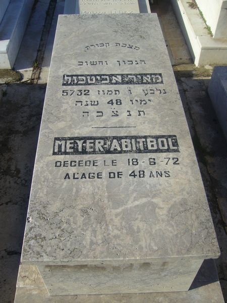 Estela de ABITBOL Meyer